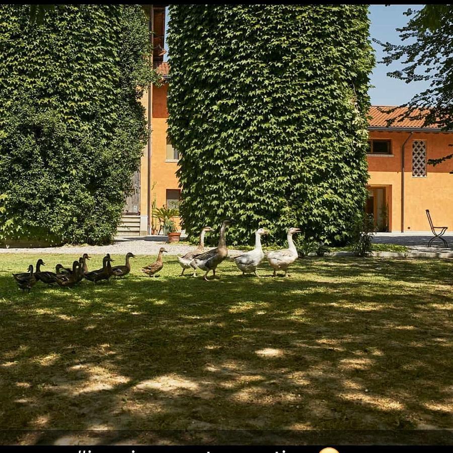 Al Canton Agriturismo Di Design San Michele al Tagliamento Kültér fotó
